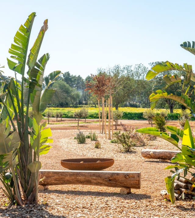 Resa Estates Ibiza te koop for sale finca modern garden plants.jpg